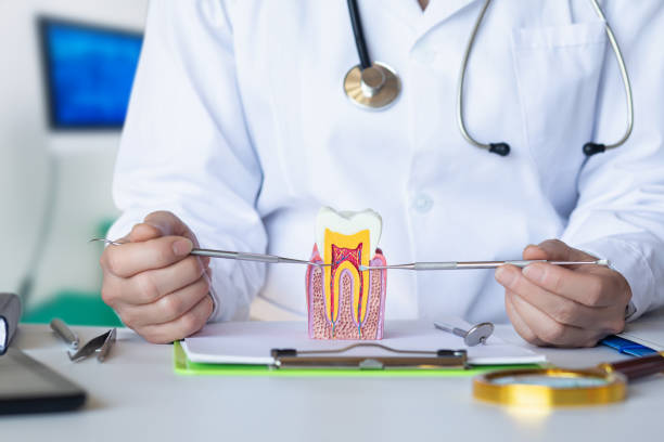 Best Cracked Tooth Emergency Dentist  in Munford, TN
